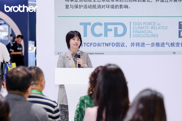 Brother¼¯ÍÅESGÈ«ÇòÕ½ÂÔ½â¶Á